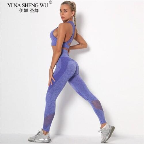 2PCS Mesh Seamless Yoga Set Sports Suits Womens Yoga Pants High Waist Gym Fitness Running Pants Bra Sportswear Women Leggings