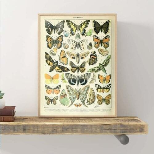 Flower Plant Butterfly Insect Kind Canvas Painting Nordic Vintage Wall Art Poster and Print Educational Wall Pictures Home Decor