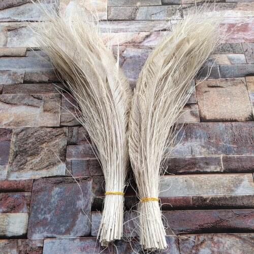 Pretty 500 pcs Beige Feather Sword 12-14inch/30-35cm Left and Right Symmetric Hat Craft Making Party Decoration Accessories