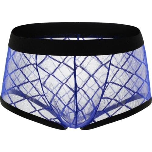 Sexy Men Mesh See Through Boxer Transparent Breathable U Convex Pouch Boxer Sheer Underwear Gay Wear Low Rise Transparent F8