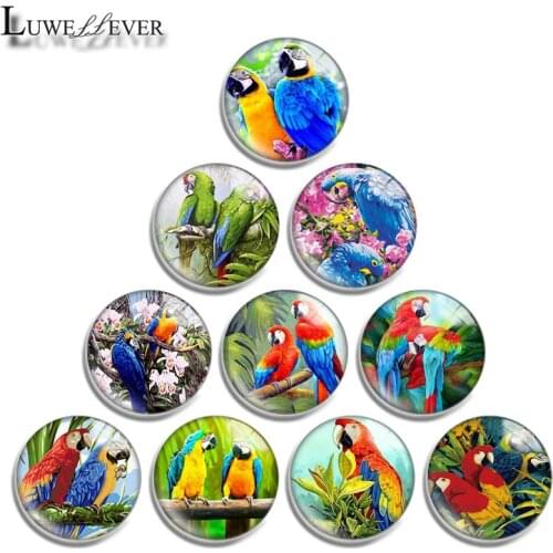 12mm 14mm 16mm 20mm 25mm 30mm 657 Parrot Mix Round Glass Cabochon Jewelry Finding 18mm Snap Button Charm Bracelet