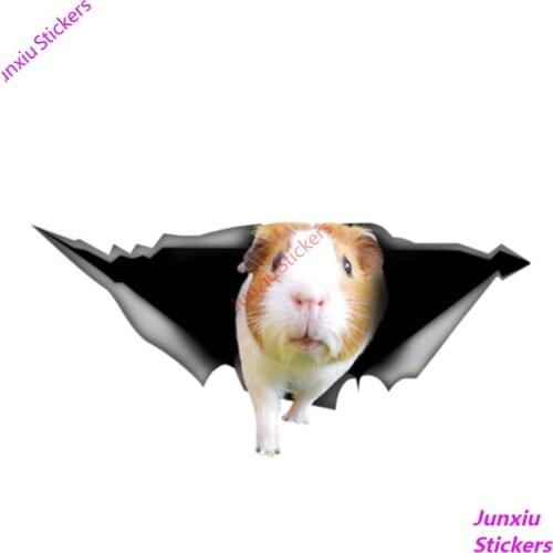 Personality Guinea Pig 3D Car Sticker Vinyl Waterproof Car Window Accessories Decorative Boot Art Pattern PVC 13cm X 6cm