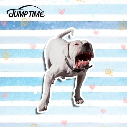 Jump Time 13cm x 9.1cm Argentine Dogo Pet Dog Decal Sticker Car Styling Funny Car Stickers Vinyl Decals Waterproof Accessories