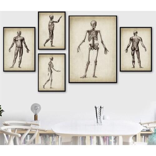 Vintage Aesthetic Room Decor Skeleton Canvas Print Poster Wall Art Decor Human Anatomy Still Life Picture For Living Room Decor