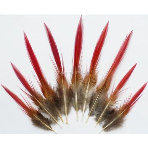 Wholesale 50 / 100 pcs 8-15cm DIY Natural Golden Pheasant Tail Feather Home Christmas Decoration Cosplay Hat Accessories