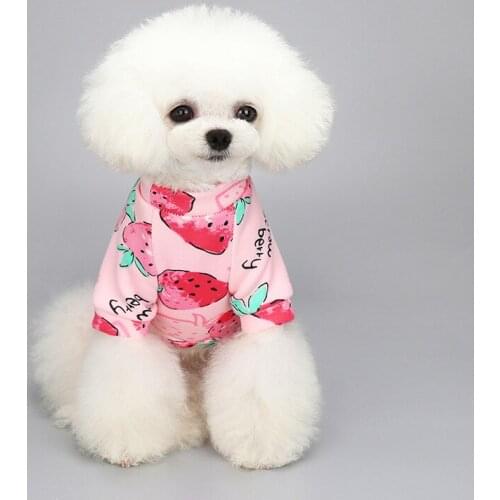 Cartoon Cat Hoodie Sweater Autumn Winter Pet Cat Clothes for Cats Katten Kedi Pullovers Mascota Pet Costume Cat Outfit Clothing