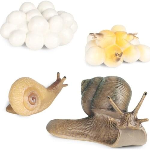 Simulation Insect Model Mini Animals Snails Growth Cycle Ornaments Kids Cognitive Educational Toys Children Gift