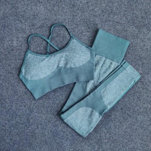 2 Pcs Women Seamless Yoga Sets Sports Suit Gym Fitness Clothing Tights Padded Push-up Sports Bra High Waist Leggings Running