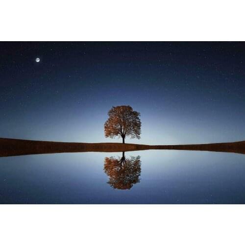 Beautiful Night Blossom Calm Waters Giant Art print Silk poster Home Wall Decor