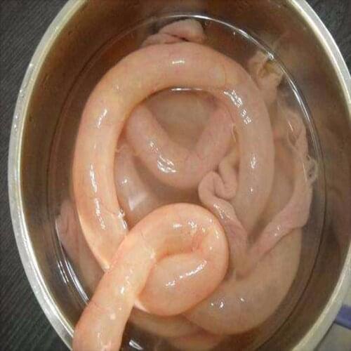 15m*41mm Sausage Packaging Tools Sausage Tube Casing for Sausage Maker Machine Hot Dog Hamburger Cooking Tools Inedible Casings