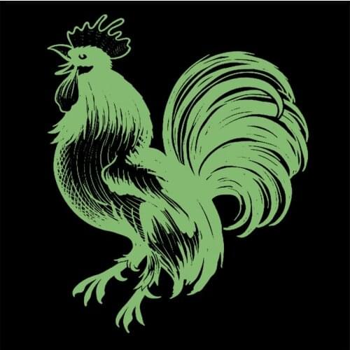 Chicken Patches for Clothing Luminous Badge Heat transfer printing Noctilucent Patch Clothes DIY Fluorescence Stickers Gifts