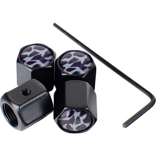 Car Accessories Auto Wheel Tire Valve Stem Caps for Camo logo for Kawasaki Pontiac Ssangyong Vespa VW Golf Chevrolet Renault BMW