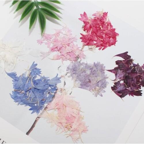 Wholesale Cornflower Dired Pressed Flower Necklace 200 Pcs For Small Packing Free Shipment
