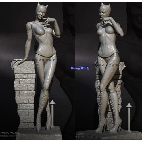 Wong Work Unpainted Resin H75mm 1/24 Unassembled Garage Kits GK Model Kit Figure TD-2544