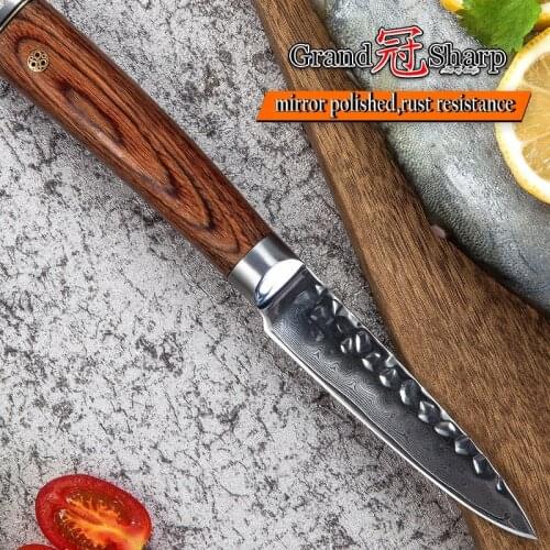 3.5 Inch Damascus Kitchen Knife Japanese Damascus Steel Paring Knife 67 Layers VG10 Steel Vegetables Fruit knives Grandsharp