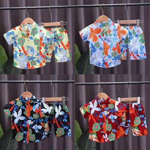 New Summer Baby Boys Clothing Childrens Wear Southeast Asia Hawaii Tropical Style Kids Beach T-Shirt+Shorts 2pc/Sets 0-4 Years