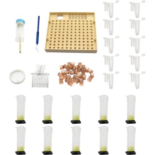 Newest 8 Models Product Beekeeping Tool Kit Beekeeping Equipment Tools