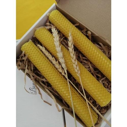 Lionera.L Interior Decor Items