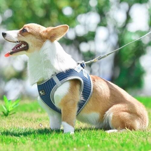Pet Dog Cat Reflective Breathable Vest-Style Harness Leash Rope Back Reduced Load Chest Strap Mesh Traction Rope Pet Supplies