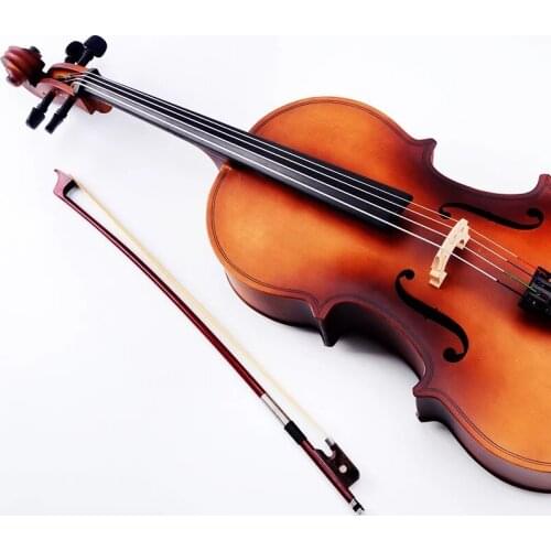 Tiger Skin Stripes Violin 4/4 Fiddle Stringed Instrument Violino with Full Accessories Violino for Beginner Students