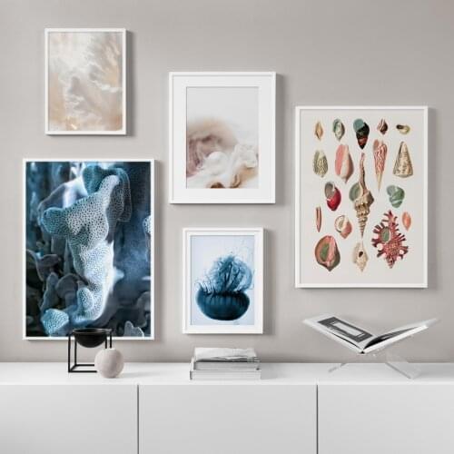 Wall Art Canvas Painting Conch Coral Pearl Jellyfish Marine Life Nordic Posters And Prints Wall Pictures For Living Room Decor