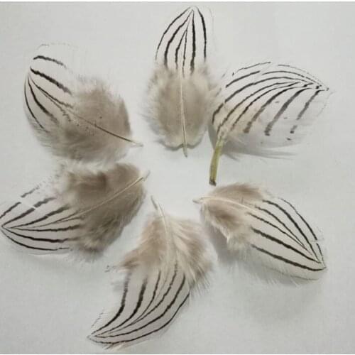 50Pcs/Lot! 4-7cm Long,Natural Plume, SILVER PHEASANT BODY PLUMAGE FEATHERS Natural White Black Fly/Fishing/Craft