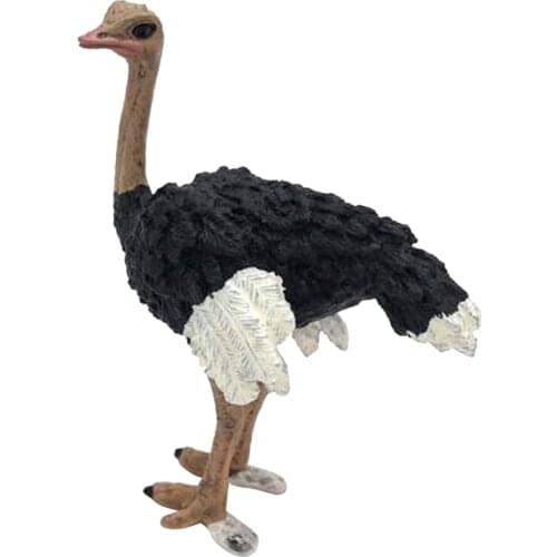 Figurines Animals Model Action Figures for Kids Collection Toys Ostrich Teaching Animal Model Photography Prop Crafts