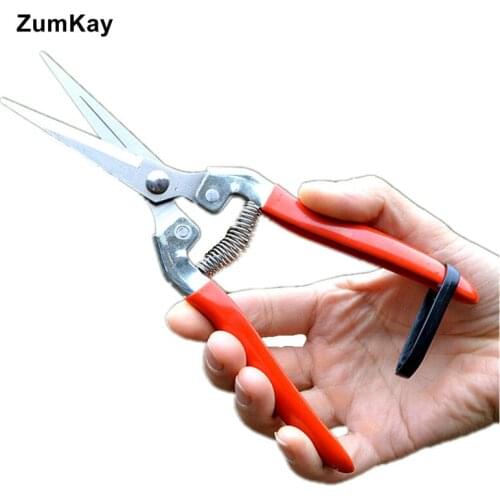 ZumKay Secateurs
