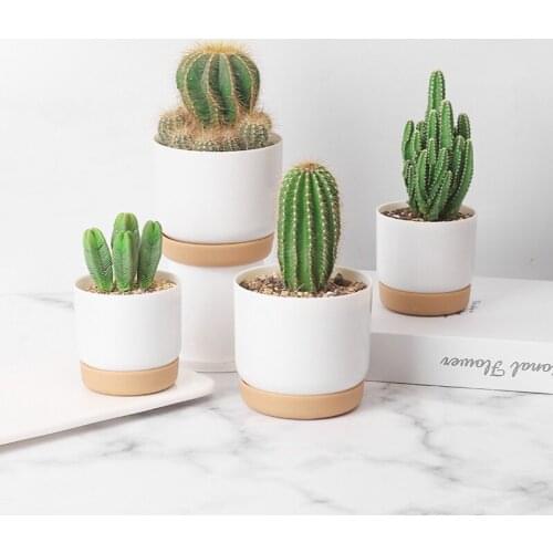 Vetplant Pot Zes-Zijdige Keramische Pot Succulent Bloempot Set Met Bamboe Ondersteuning Voor Desktop pots for plants planters