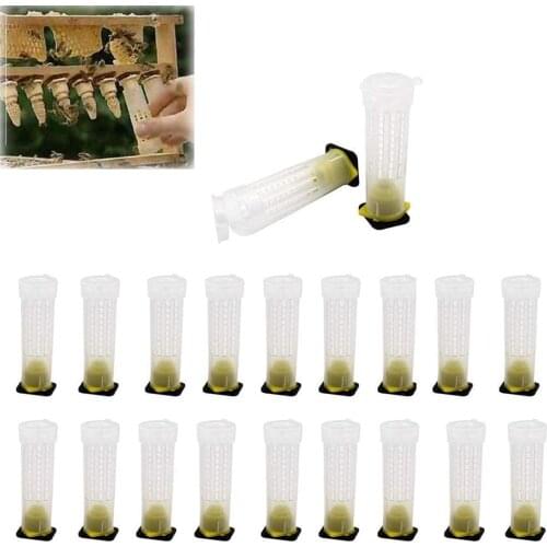 20Pcs Beekeeping Rearing Cup Kit Bee Queen Cages Bee Hair Roller Cages Cell Cup Holder Beekeeper Equipment Insects Tools