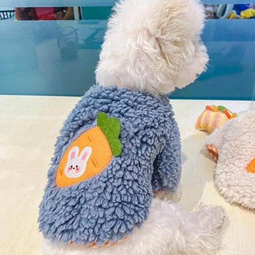Unisex Stylish Dog Two-legged Sweater Pet Supplies Pet Hoodies Round Neck Puppy Costume