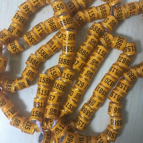 2019 GB yellow Pigeon Foot Ring With Word Earrings Russia 100 pcs Quality Durable Bird Ring Pheasant Foot Ring 2019 Italia