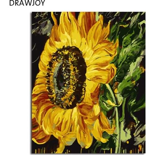 DRAWJOY Framed DIY Painting By Numbers Flower DIY Digital Canvas Oil Painting Home Decor For Living Room Wall Art