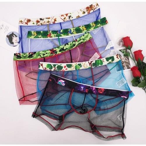 Mens Transparent Underwear Mesh Male Panties Lace Man Gay Soft Net Yarn Sexy Boxer Underpants Summer Thin Breathable