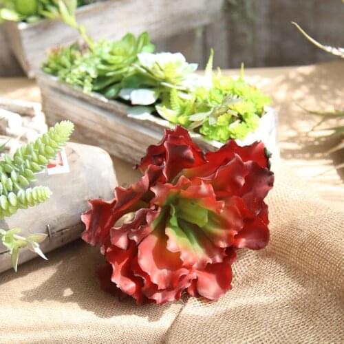 Home decor Queen flower Real touch Artificial fleshiness Cactus Aloe Succulent plants decorative flower home Balcony decoration