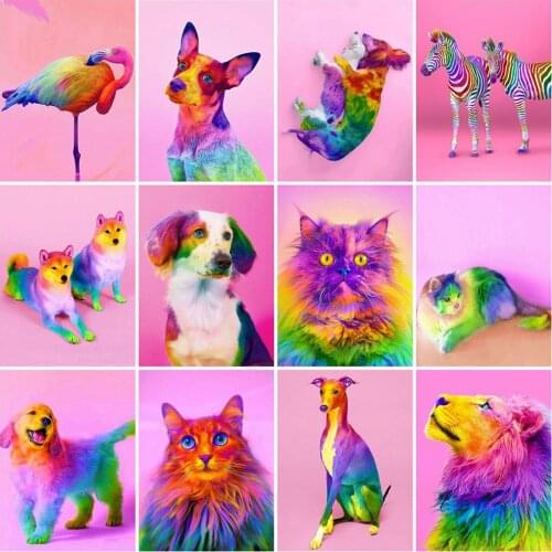 MomoArt Diamond Painting Cat Cross Stitch Handcrafts Full Square Diamond Embroidery Animal Dog Rhinestone Art Home Decoration