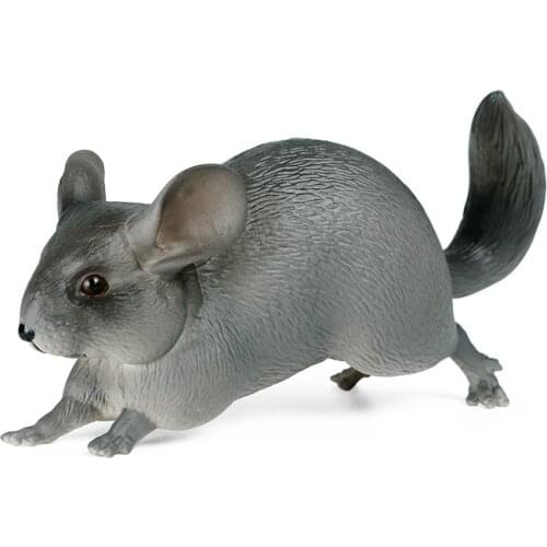 Chinchilla Mouse Animal Figure Collectible Toys Wild Animal Cognition Action Figures Kids Plastic Model Toys