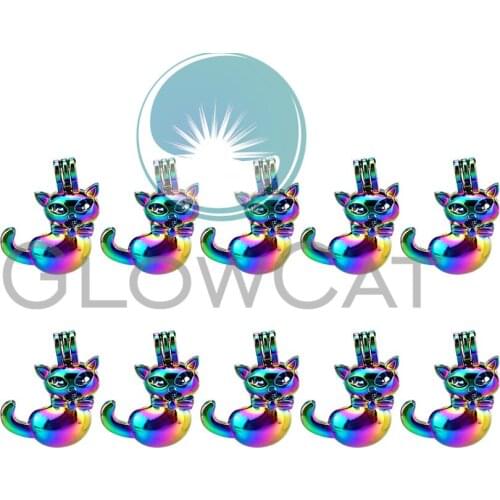 Rainbow Color Cat Beads Cage Perfume Diffuser Pearl Cage Locket Pendant 10x C941