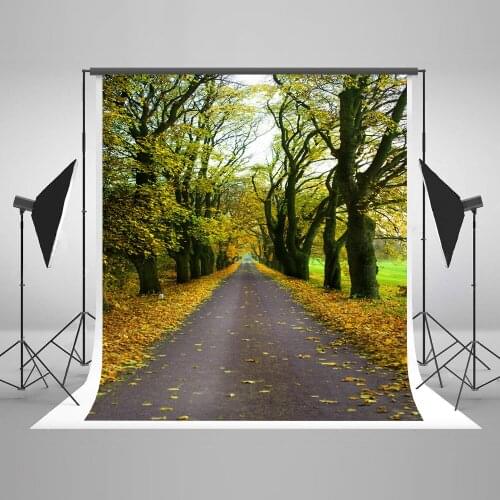 VinylBDS 10X10FT Autumn Forest Photography Backdrop Leaves Road Backgrounds For Photo Studio