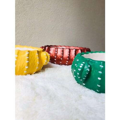 Cactus Flower pot set