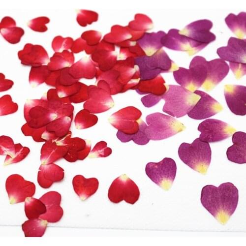 Rose Rose Dried Flower Embossing DIY Epoxy Dried Flower Phone Shell Beauty Group Puzzle Love Red Petals