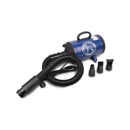 Pet Blowing Machine Mute High Power Hair Dryer Professional Big Dogs and Cats Blow Drier Dedicated Eu Au Us Uk Plug Custom