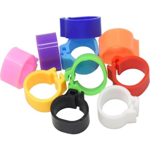 Inner Diameter 10mm Bird Pigeon Foot Ring Ten Colors Without Text Light weight Freedom Of Action Poultry Ring Bird Carry 1000Pcs