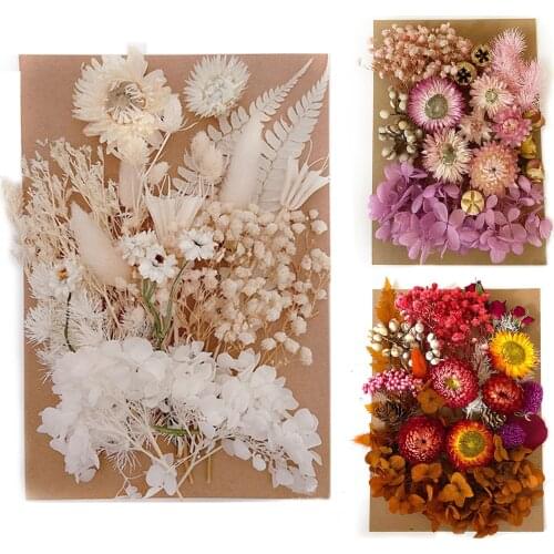 Dry Flowers True Dried Pressed Flowers Dried Flowers Leaves Bulk For DIY Candles Epoxies Pendants Necklaces Jewelry Crafts Decor