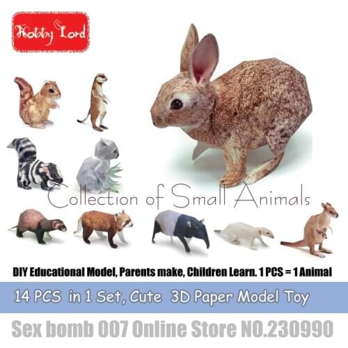 14 PCS in 1 Small Cute Animal 3D Paper Models raccoon DIY Educational Model Toys For Kid Adult crafting class Teaching material