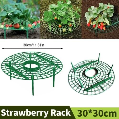 Holder For Strawberry Support Plante Strawberry Stand Fruit Support Plant Climbing Wall Fixture Gardening Tools And Equipment