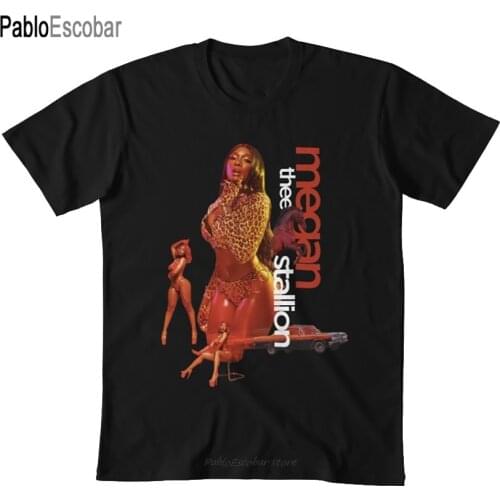 Megan thee stallion shirt, megan thee stallion tshirt, megan stallion fan art& gear T shirt megan thee stallion megan
