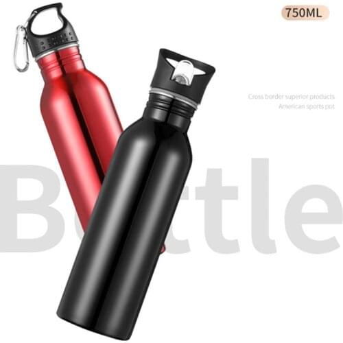 750ml Sports Outdoor Straw Water Bottle 304 Stainless steel Portable Handle Lid Water Bottle With Mountaineering Buckle Kettle
