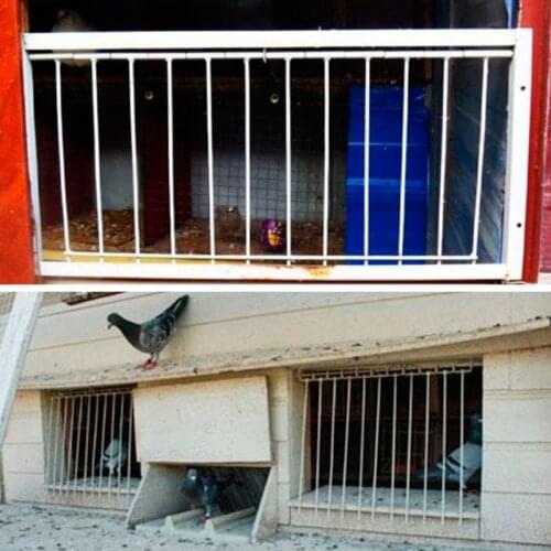 Pigeon Door Wire Bars Frame Entrance Trapping Doors Loft Supplies Racing Birds Catch Bar Q0KA