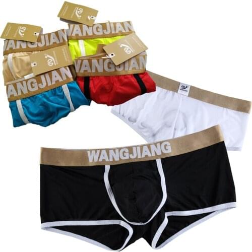 Pouch Boxer 2021 Low Waist Transparent WJ Men Underwear Through Men Sheer Breathable Summer Man Silk Shorts